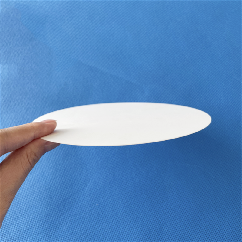 Aluminum Oxide Ceramic Disc